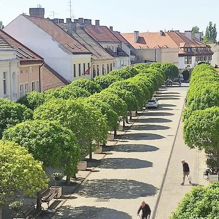 Lägenhet N-apartman